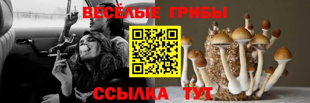 Псилоцибиновые грибы мухоморы Изобильный